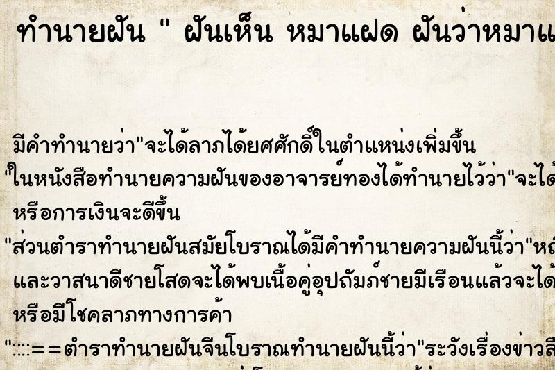 ทำนายฝันทำนายฝันฝันเห็นหมาแฝดฝันว่าหมาแฝด